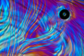 Illustration for article titled Science Photographer Reveals Beauty of the Microscopic World